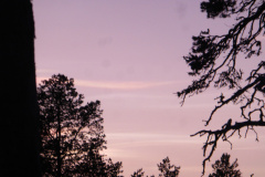 P1050720